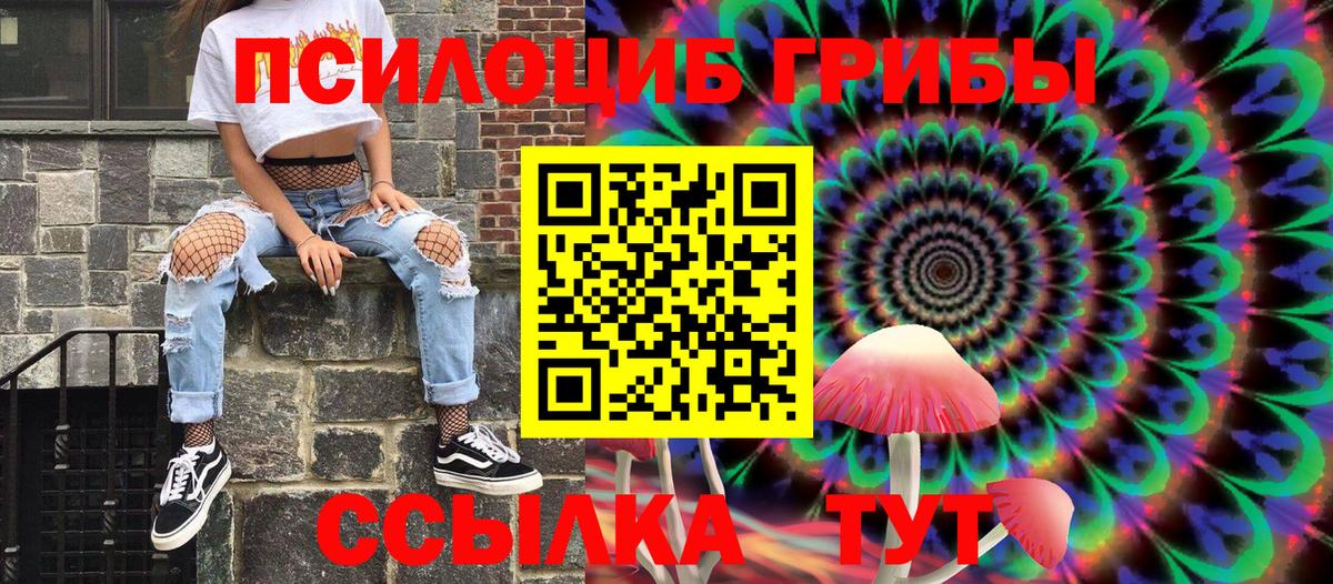 Галлюциногенные грибы Psilocybe  Псилоцибиновые грибы прущие грибы  Вход с VPN  Дедовск 